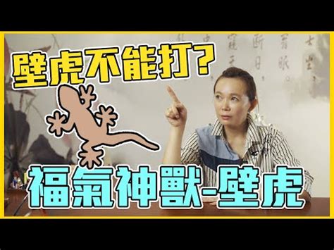 壁虎 風水|在風水學中：家裡進壁虎是什麼寓意？4種預兆要「小心」了